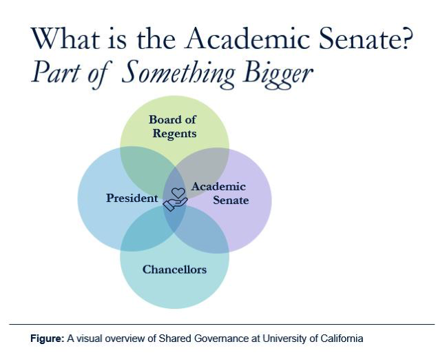 What is the Academic Senate?